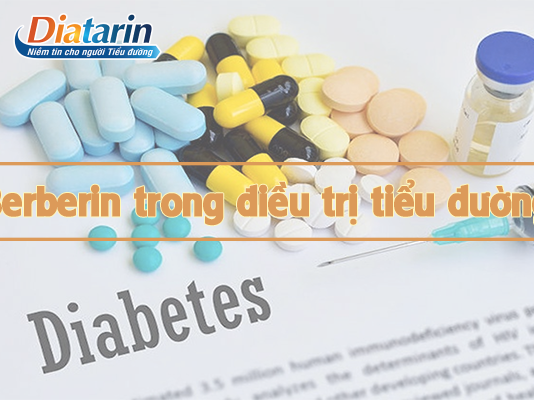 Berberin trong điều trị bệnh tiểu đường