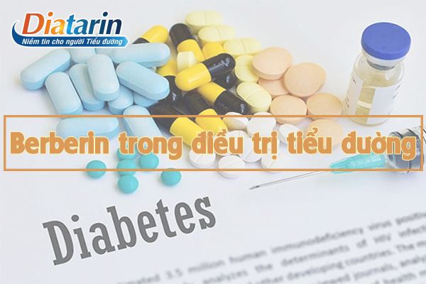 Tác dụng của berberin trong điều trị bệnh lý đái tháo đường & Ứng dụng 